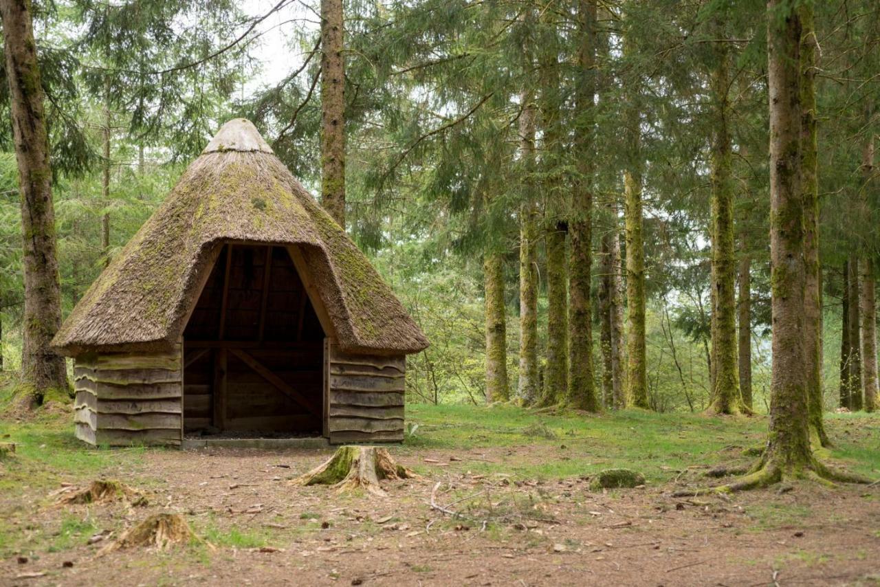TreignacChambre D'Hotes Des Monedieres住宿加早餐旅馆 外观 照片